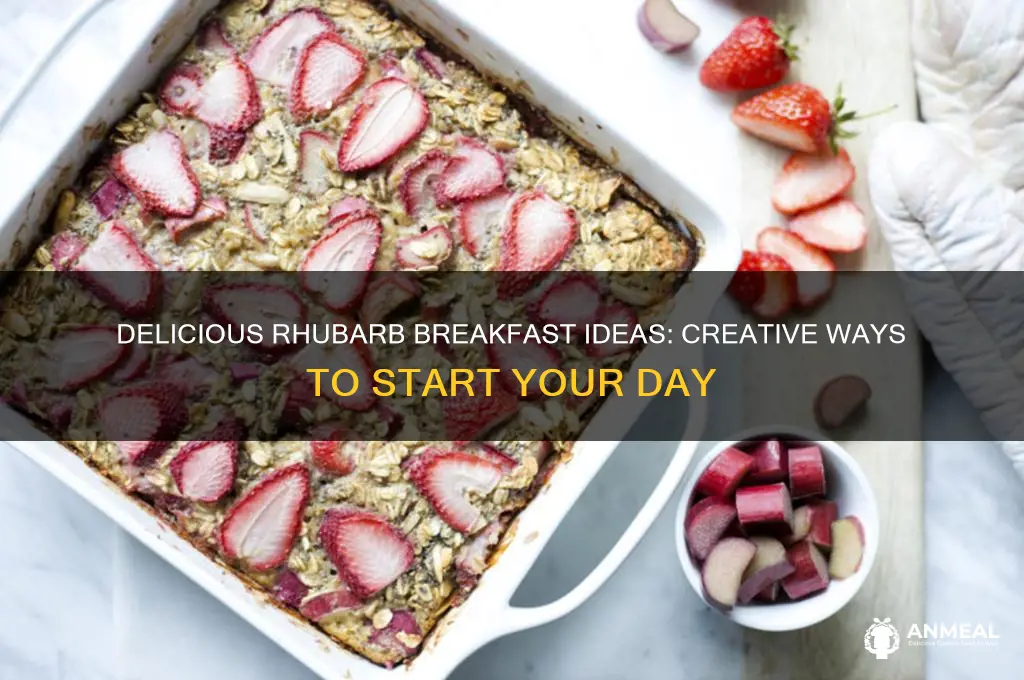 how to use rhubarb for breakfast