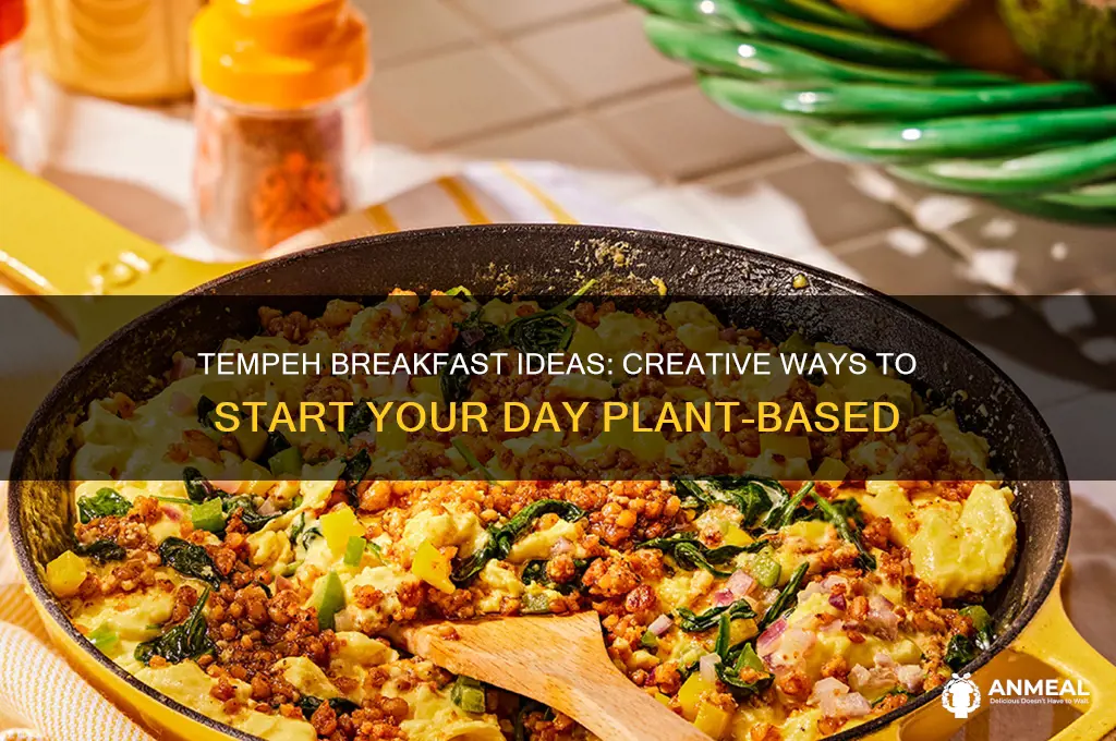 how to use tempeh for breakfast