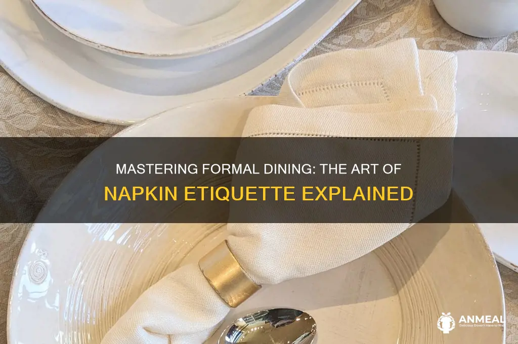 how to use the napkin at a formal dinner