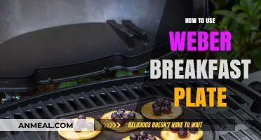 Mastering the Weber Breakfast Plate: Tips for Perfect Morning Meals