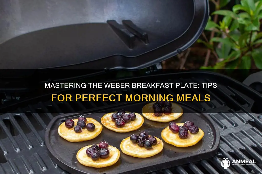 how to use weber breakfast plate