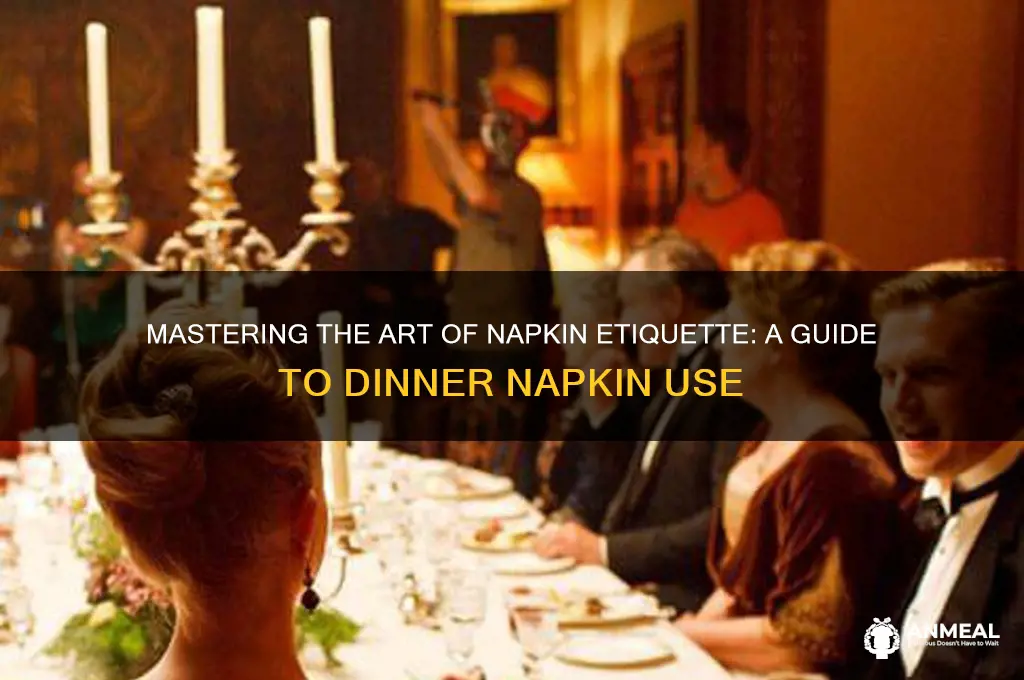 how to use your dinner napin