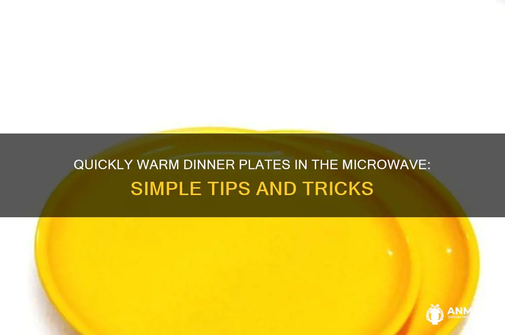 how to warm dinner plates in microwave