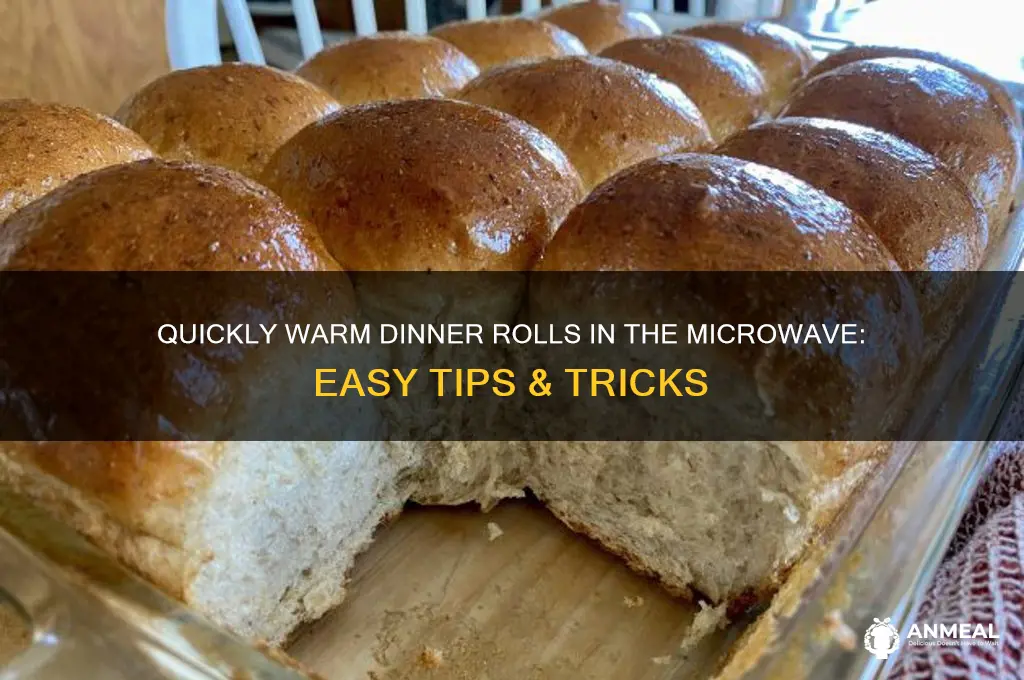 how to warm dinner rolls in microwave