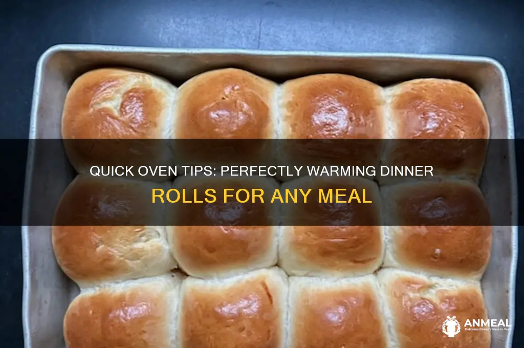 how to warm dinner rolls in the oven