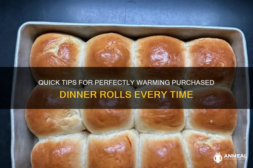 how to warm purchased dinner rolls