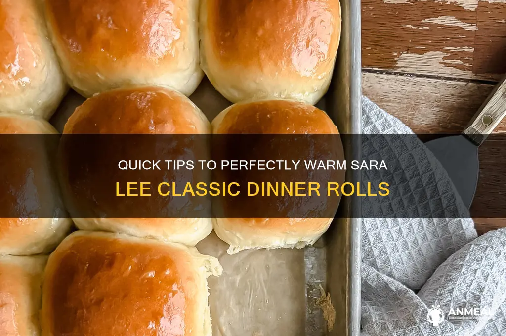 how to warm sara lee classic dinner rolls