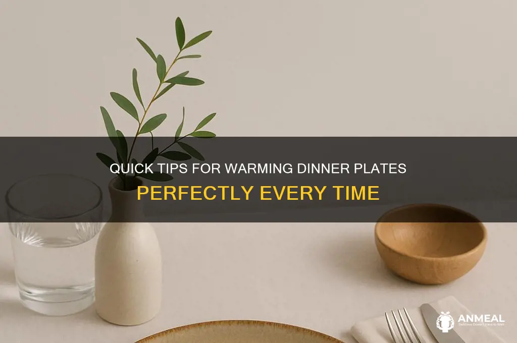 how to warm up dinner plates