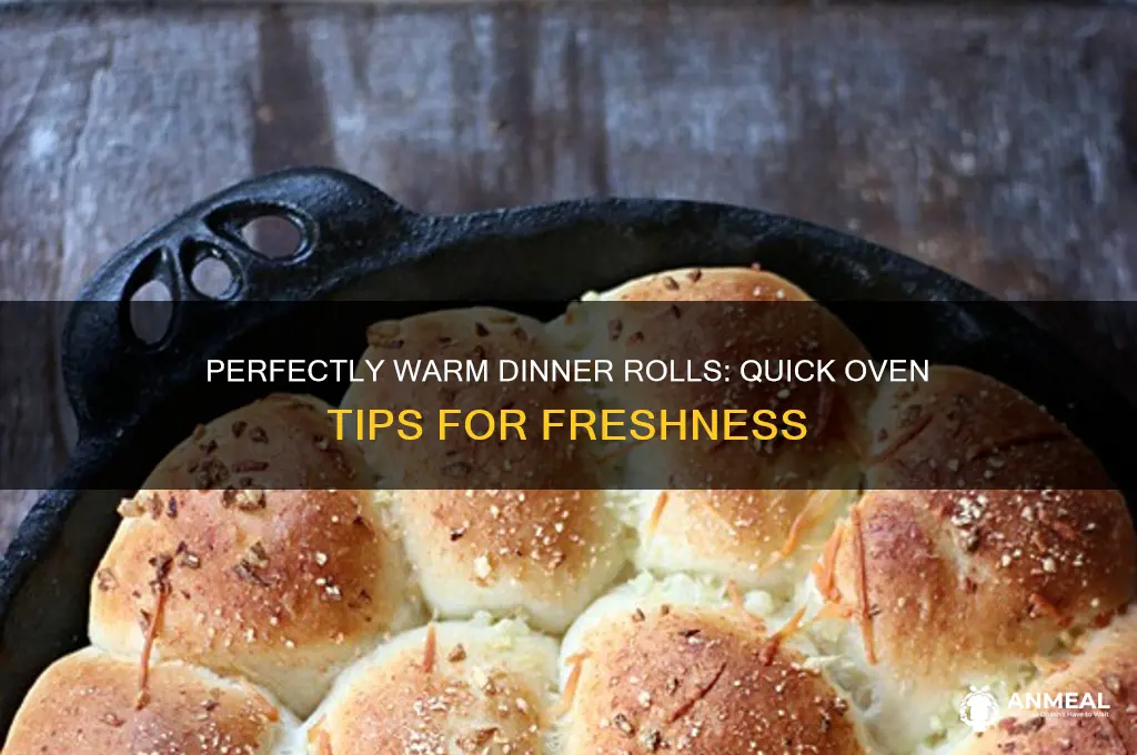 how to warm up dinner rolls in the oven