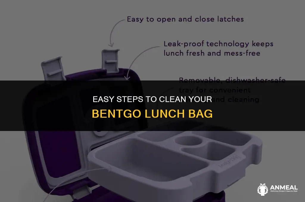 how to wash bentgo lunch bag