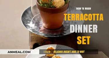 Caring for Your Terracotta Dinner Set: A Complete Washing Guide