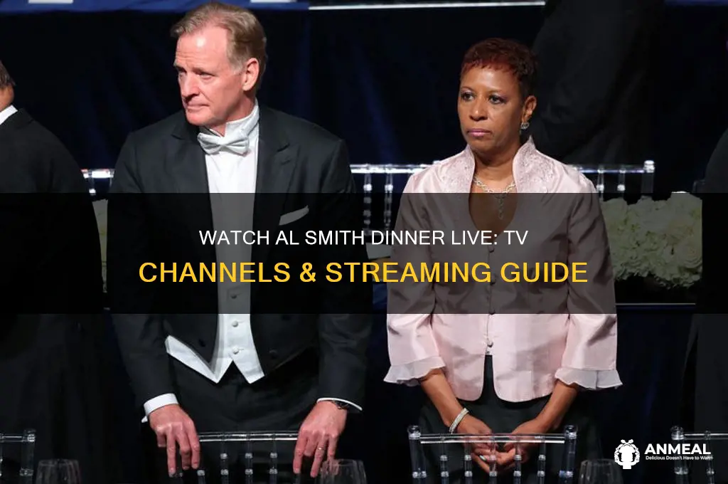 how to watch al smith dinner on tv