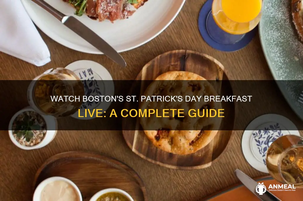 how to watch boston st patrick