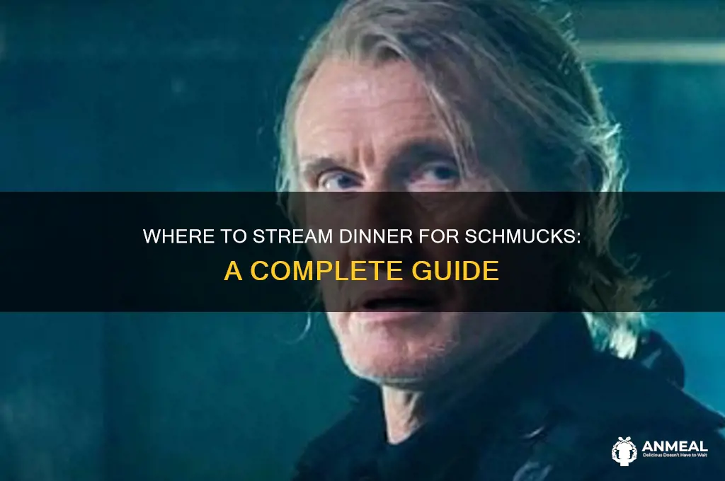 how to watch dinner for schmucks