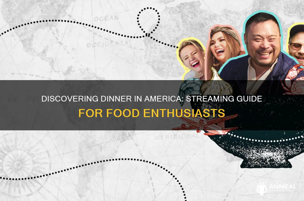 how to watch dinner in america
