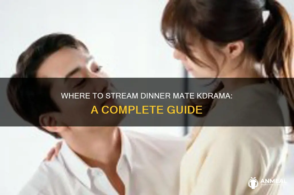 how to watch dinner mate kdrama