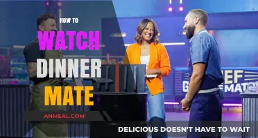 Where to Stream Dinner Mate: A Complete Guide for Fans