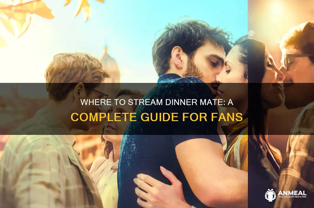 how to watch dinner mate