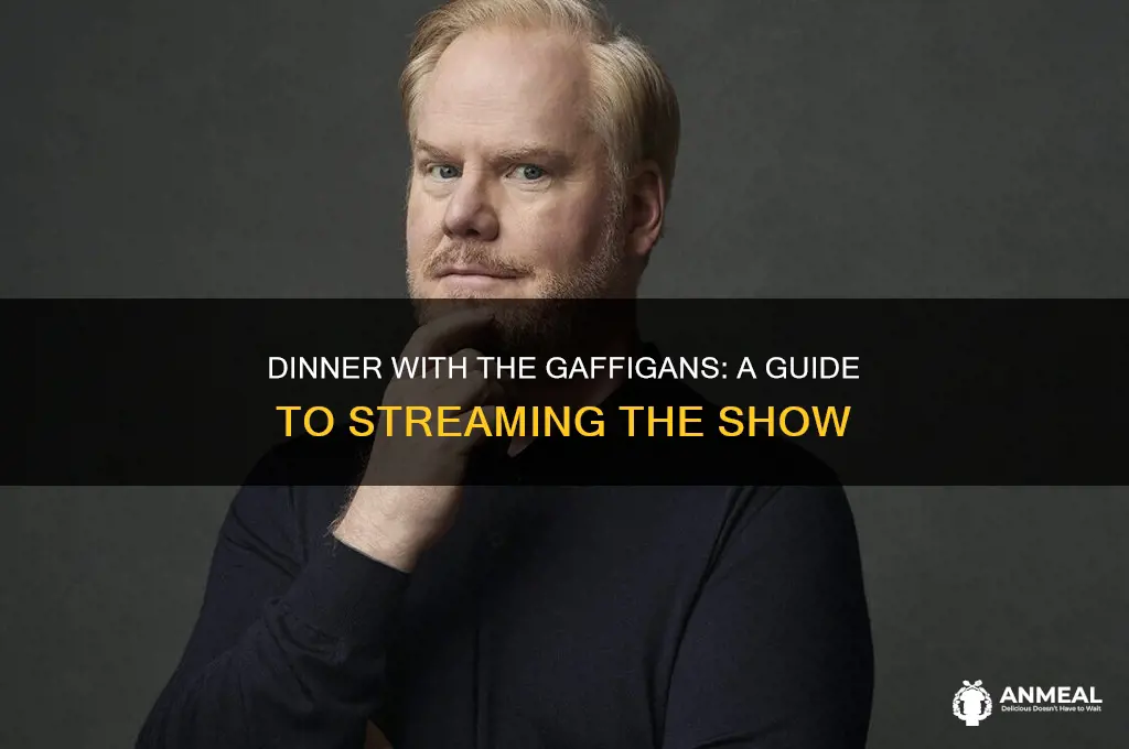 how to watch dinner with the gaffigans
