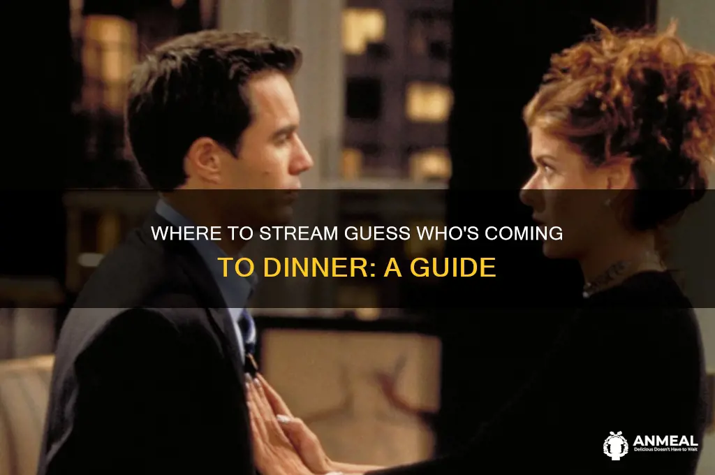 how to watch guess who