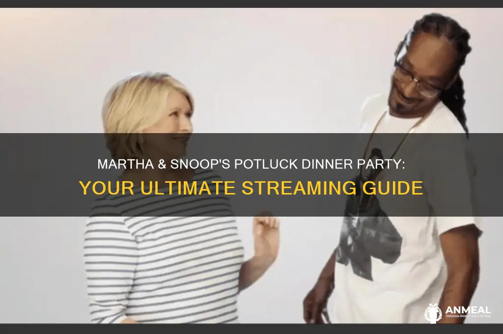 how to watch martha and snoop