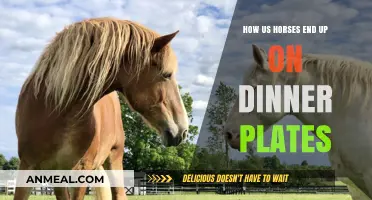 From Pasture to Plate: The Shocking Journey of American Horses