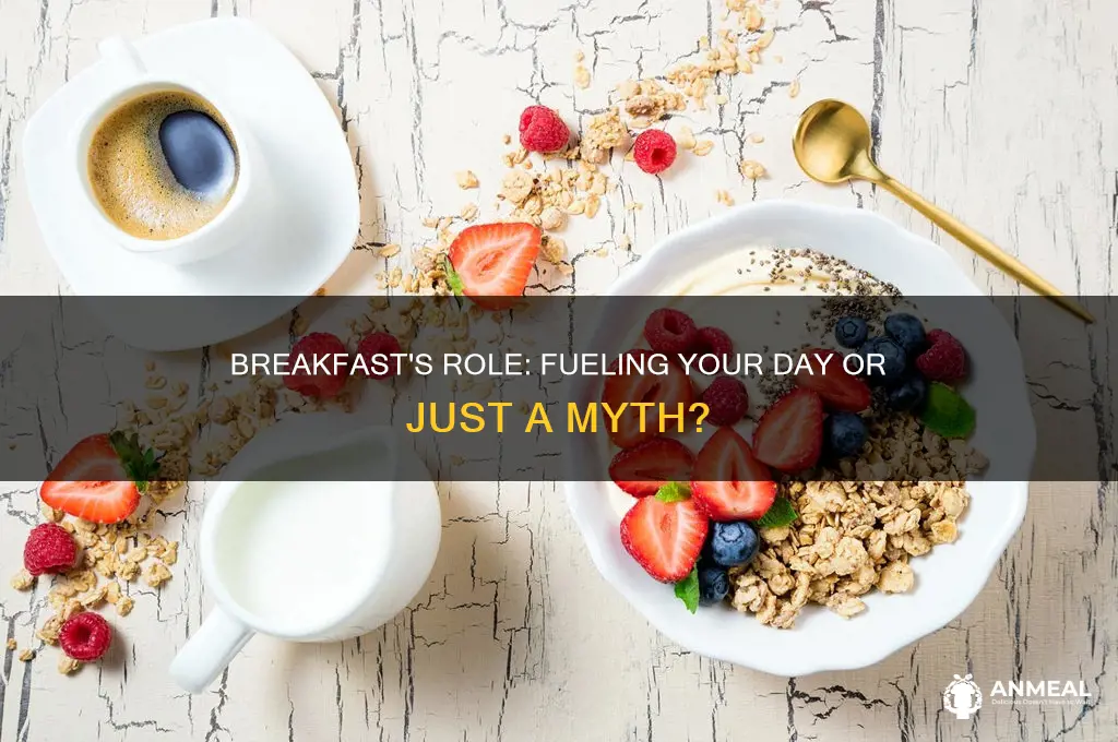 how vital is breakfast