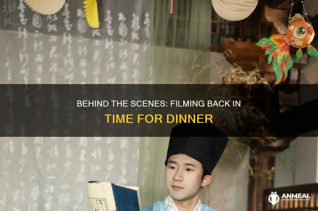 how was back in time for dinner filmed