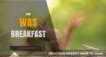 How Was Breakfast? A Morning Meal Reflection and Review