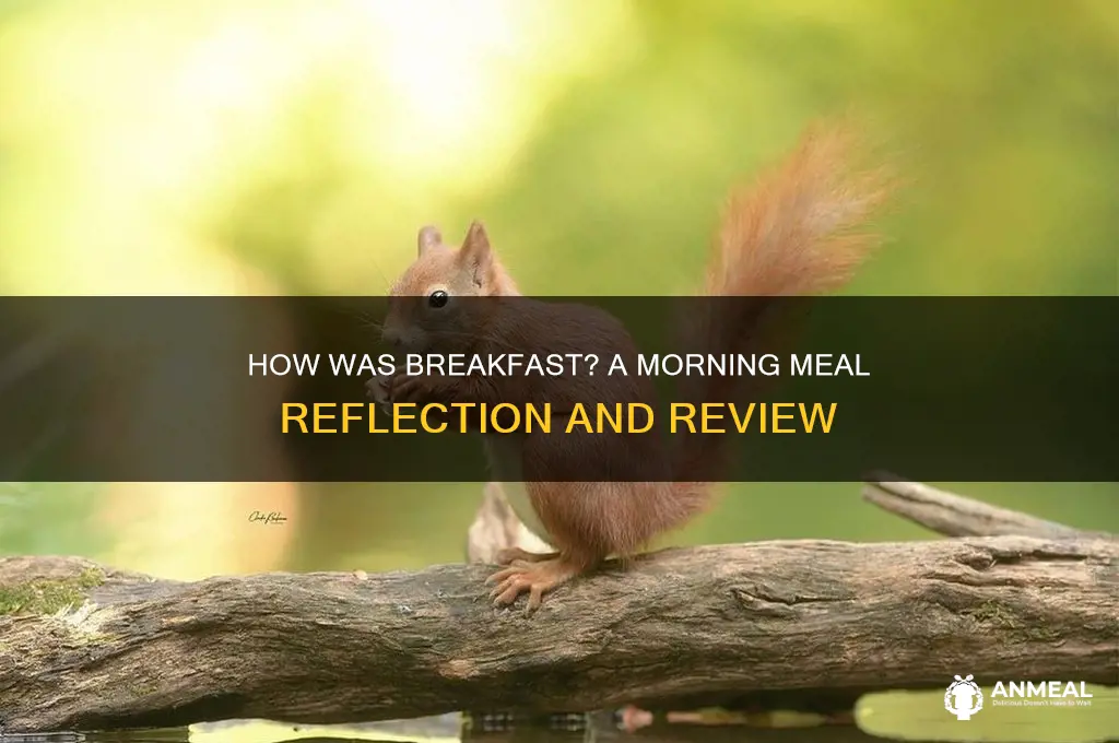 how was breakfast