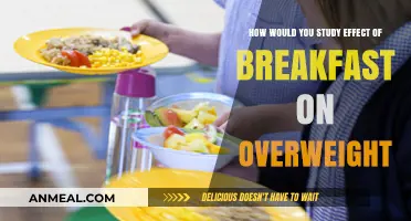 Breakfast's Impact on Overweight: Effective Study Strategies and Insights