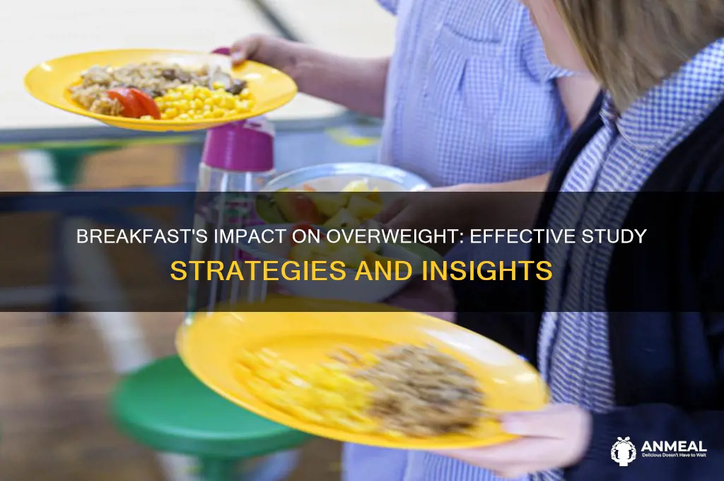 how would you study effect of breakfast on overweight