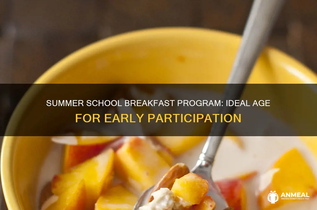 how young for summer school breakfast program