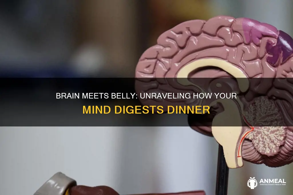 how your brain digests your dinner