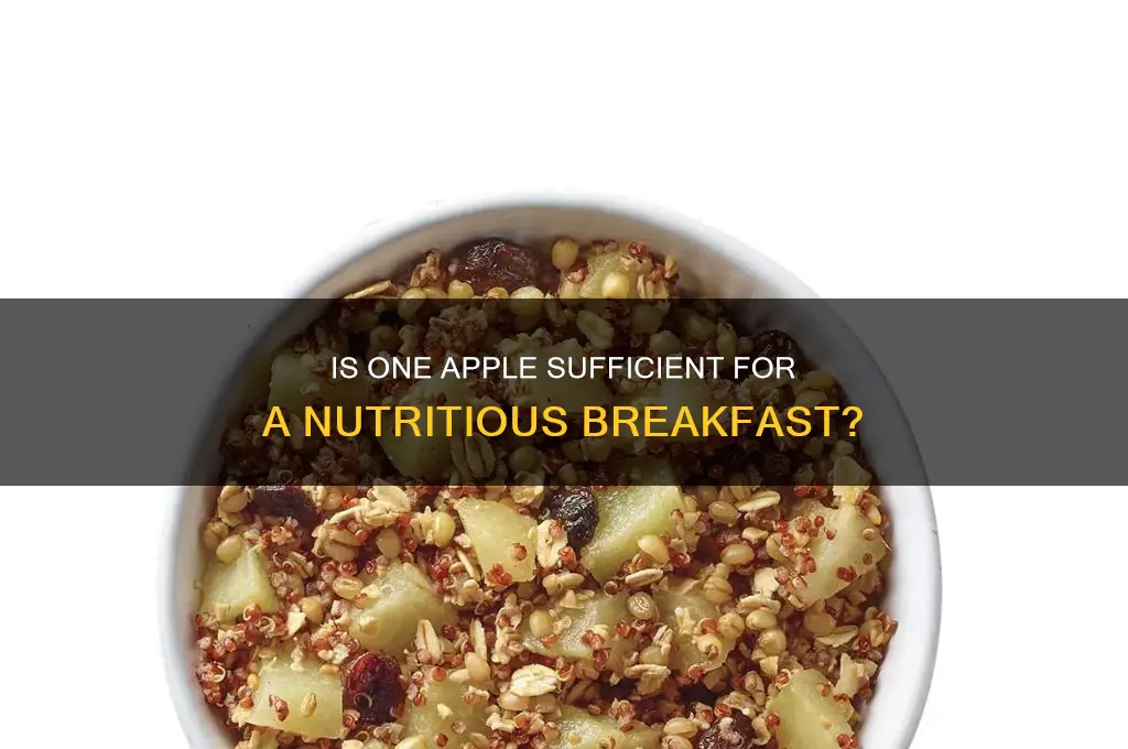 is 1 apple enough for breakfast