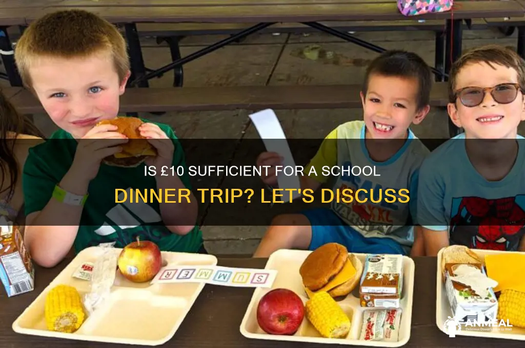 is 10 enough for dinner school trip