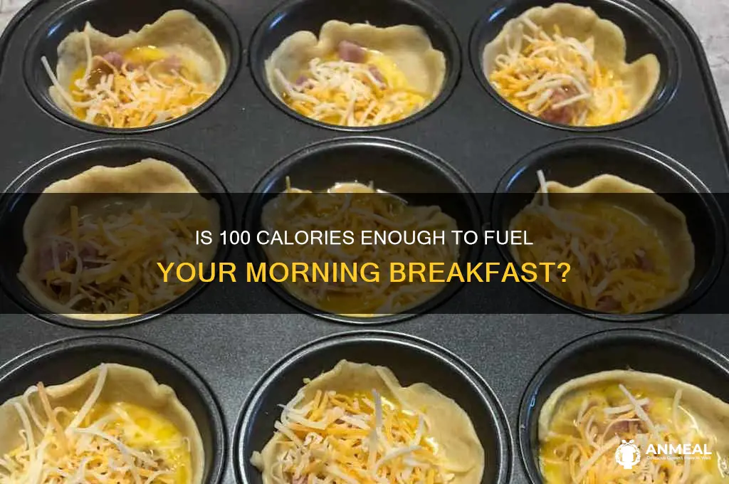 is 100 calories a lot for breakfast