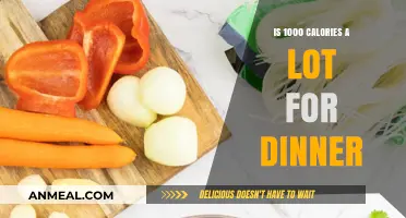 Is 1000 Calories for Dinner Healthy or Excessive?