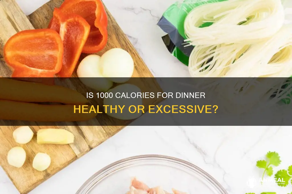 is 1000 calories a lot for dinner