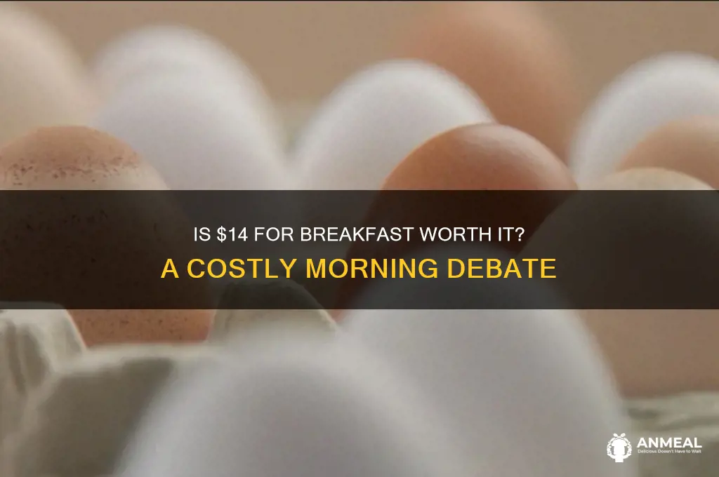 is 14 dollars a lot for breakfast