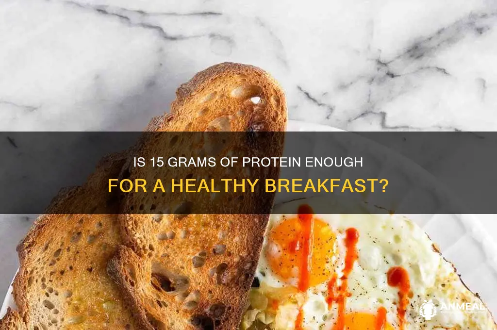 is 15 grams of protein enough for breakfast