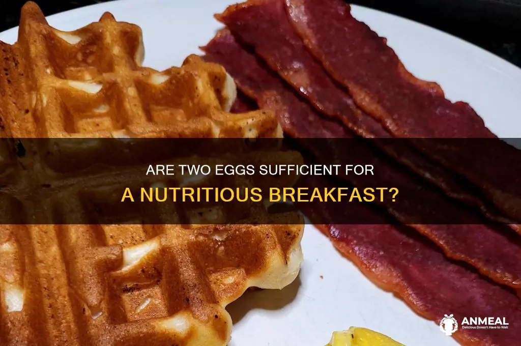 is 2 eggs enough for breakfast