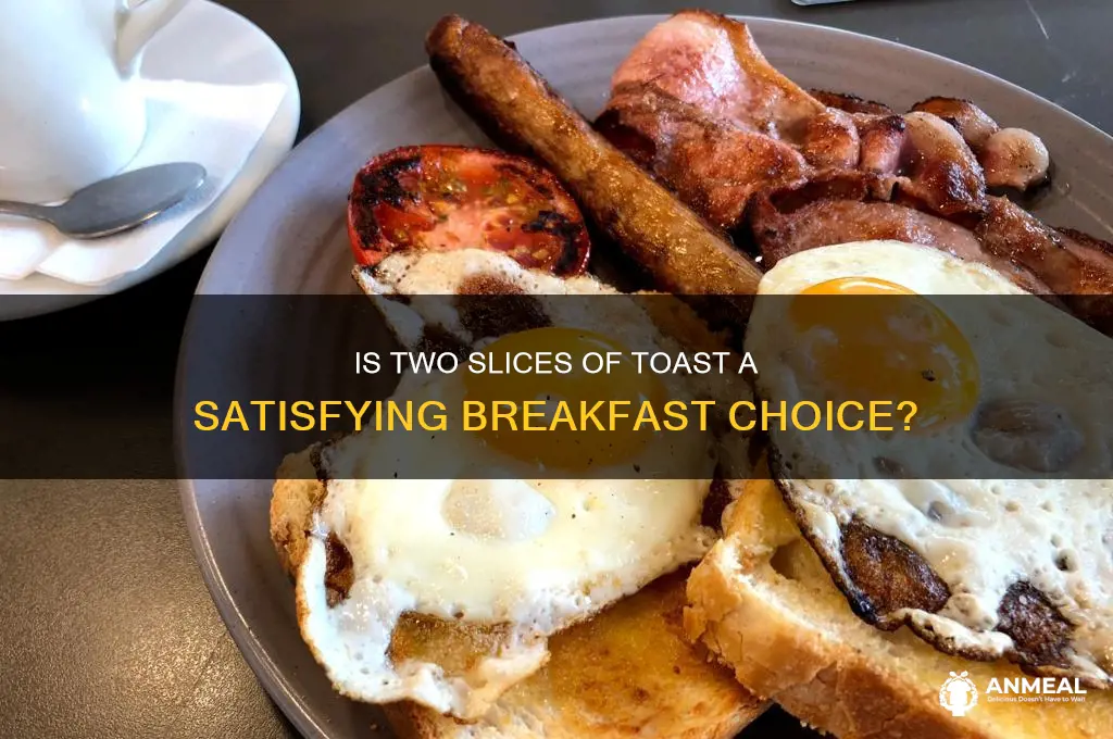 is 2 pieces of toast enough for breakfast