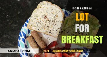 Is 240 Calories a Healthy Breakfast Choice for You?