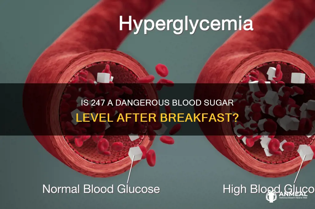 is 247 bad sugar level after breakfast