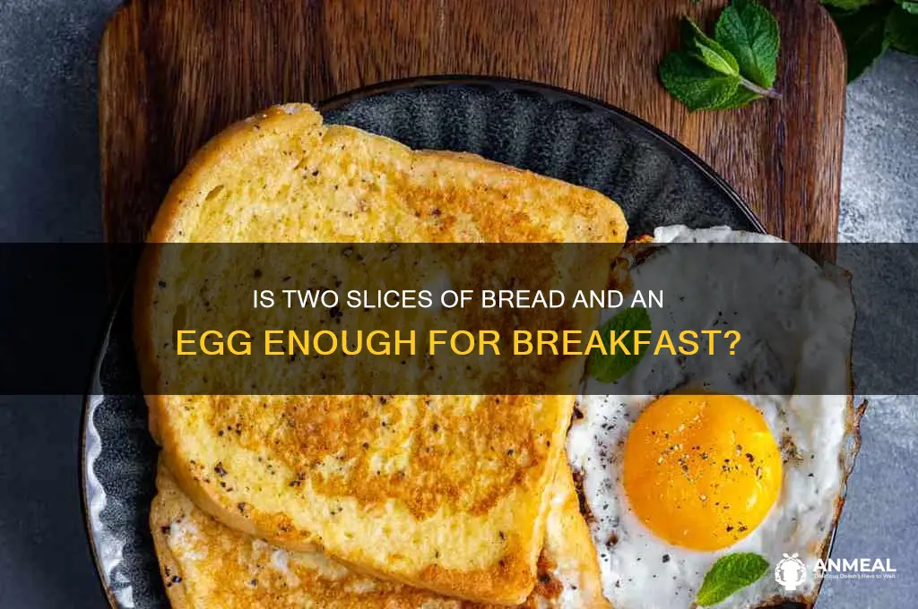 is 2slices bread and an egg adequate for breakfast