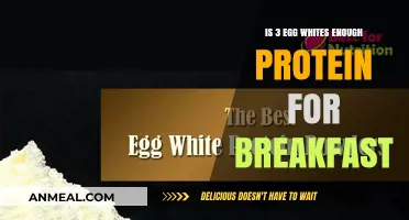 Egg Whites for Breakfast: Is 3 Enough for Your Protein Needs?
