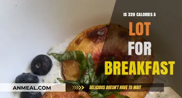 Is 320 Calories a Healthy Breakfast Choice for You?