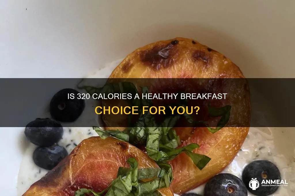 is 320 calories a lot for breakfast