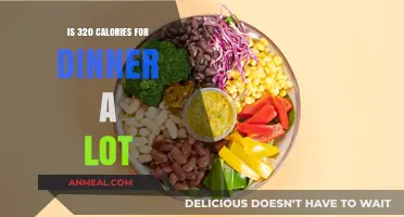 Is 320 Calories for Dinner Enough or Too Much?